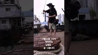 30분짬낚 낮에도 잘나옵니다 #부산낚시 #fishing #아징 #루어낚시