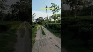 Assam vlogs video//village life guys like comment share//2025