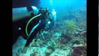 The Dive Bus Local Divers explore Curacao's remote East-Point