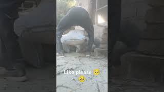 #viralvideo