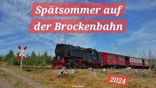 Spätsommer auf der Brockenbahn 2024 | Harzer Schmalspurbahnen HSB + Dampflok Hoya