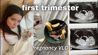 FIRST TRIMESTER PREGNANCY VLOG - (very honest)