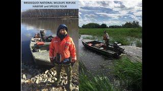 Unique Habitats and Species of the Missisquoi National Wildlife Refuge