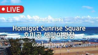 포항실시간 호미곶광장라이브 Live Cam I "Homigot Sunrise Square", Pohang,Korea I 포항호미곶해맞이광장 포항일출 포항바다 포항호미곶일출 상생의손