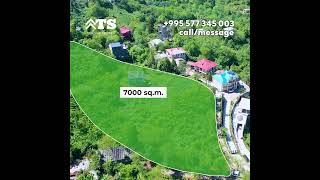 Land for sale in Tsinsvla - 15 minutes from Batumi, Georgia