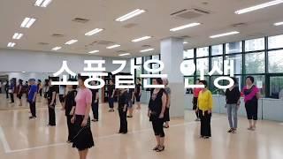 소풍같은 인생  라인댄스(The life like a picnic Line Dance)