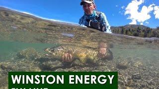 Casting the Winston Energy Fly Line