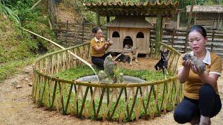 How to Build a New Dog House - Harvesting Banana Leaves to Sell at the Market | Trieu Mai Huong.