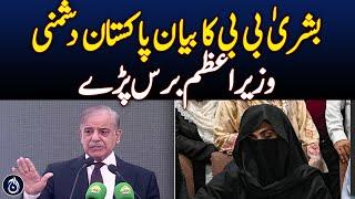 Bushra Bibi's statement is hostile to Pakistan, PM Shehbaz - Aaj News