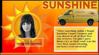 Erin H. of Spring Hill Carpet Cleaning Testimony