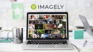 Two-Minute Introduction to The Imagely Theme