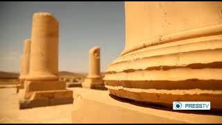 A stunning documentary from the unique city of Shiraz(iran)