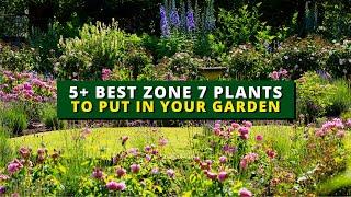 5+ Perfect Plants for Zone 7 | Best Zone 7 Plants to Put In Your Garden 