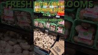 ‍🟫How to Pick the Freshest Mushrooms in the Grocery Store!  Button / Cremini Mushroom Guide