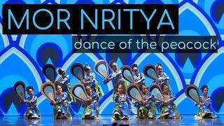 Mor Nritya (Peacock Dance) | Kruti Dance Academy