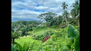 Kaua’i Hindu Monastery