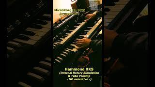 Hammond XK5 & Korg MicroKorg XL Plus @HammondB3tube