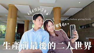 VLOG | 生產前夕𖤐媽媽不陪我生嗎？韓國一夜變冷/最後只屬二人的時間/曾兩次被救護車抬走了？/我的毛孩知道我懷孕了嗎？｜金鈴