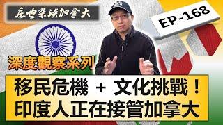 移民危機，不吐不快！南亞裔移民大軍正在佔領加拿大，我們該何去何從？【莊也雜談加拿大168】