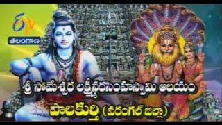 Sri Someshwara Lakshmi Narashimha Swamy Temple Palakurthy TS - తీర్థయాత్ర - 16th March 2015