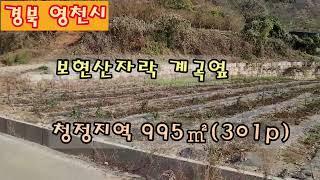 NO.356 영천땅 영천시 화북면 보현산자락 청정마을 끝자락 계곡접한 땅 996㎡ (301P)