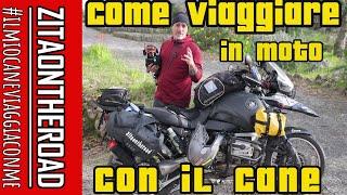 Viaggio in moto con il mio cane