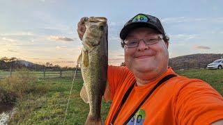 Fishing with Weird Rebel Micro Crankbaits. Big Bass!!!