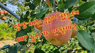 영양제농사 과연 괜찮은가? 상식파괴 생각의전환