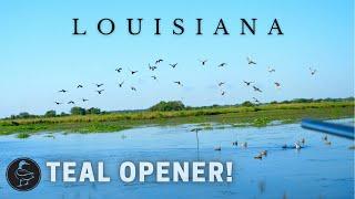 LOUISIANA Teal Season Opening Weekend at the CAMP!