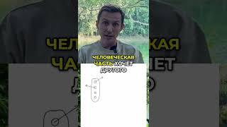 Внутренний хаос  4 слоя психики #психология #саморазвитие #психика