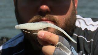 Soft Jerkbaits: Advanced Tips For Fall Bass! | Bass Fishing