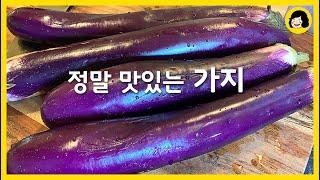물컹거리지 않는 가지 요리 두가지 - 가지 덮밥, 말린 가지 볶음 - 항암에 탁원한 효능 가지