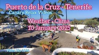 Tenerife ️ Puerto de la Cruz Morning Weather 10 January 2025 Teneriffa