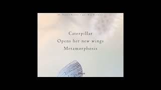 Seramind - New Wings (naviarhaiku503) [Ambient, Drone, New Age]