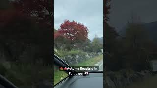 Autumn Roadtrip in Fuji, Japan