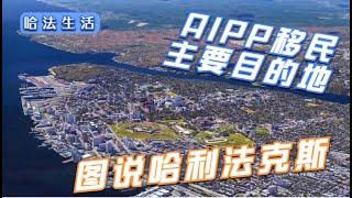 茶米在加拿大图说哈利法克斯--AIPP移民项目主要目的地