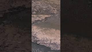 Mars view caught by rover