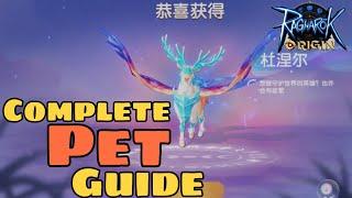 [Ragnarok Origin] PET COMPLETE GUIDE!