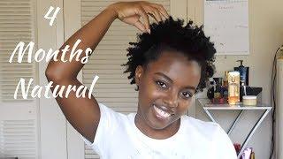 4 Months Natural Hair Update | Chatty Takedown