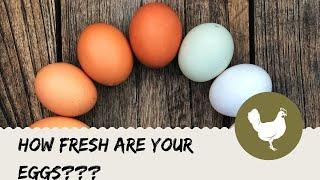 How fresh are your eggs?