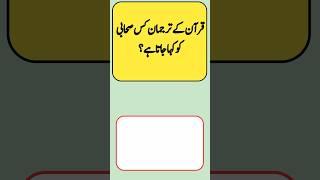 Beautiful Islamic Mcqs In Urdu And Hindi #riddles #quiz #gk #gkquiz #quran #paheli #hadees #urdu