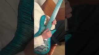 Bass riff that everyone likes
