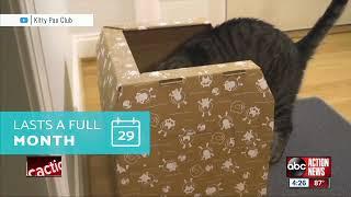 Kitty Poo Club: cat litter box subscription service