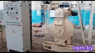 Production of pellets from waste paper (cellulose fiber)
