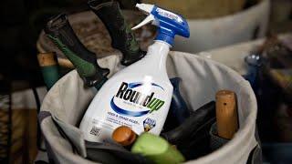 Bayer plans 'silver bullet' defense in Roundup brand cancer cases