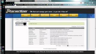 Como utilizar el host de ServerMiner