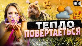 Нарешті ТЕПЛО повертається! Київ готується до літа: прогноз ПОГОДИ порадує