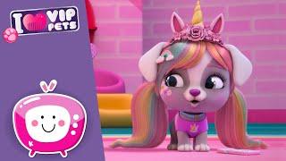 It-Girl Gigi  VIP PETS  Neue Folge  CARTOONS und SERIEN für KINDER auf DEUTSCH