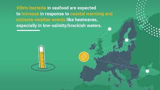 Climate change and Vibrio bacteria in seafood