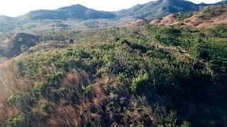 MasayaCo's Teak Forest in La Limonapa